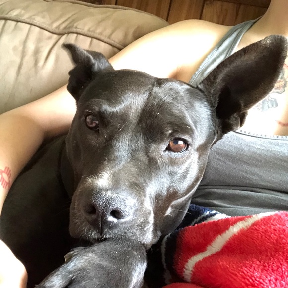 Meet your Posher, Mattie - Picture 4 of 6